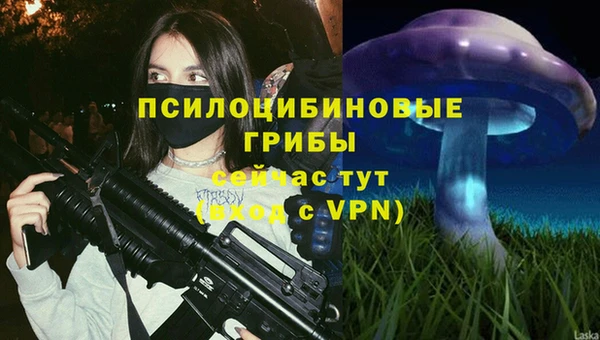 тгк Покров