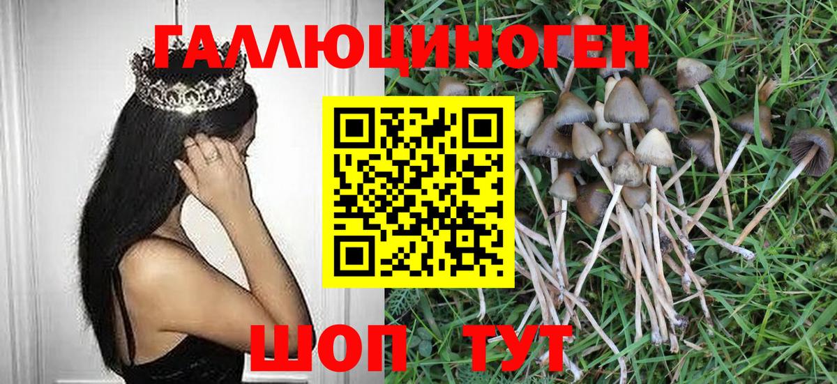 Галлюциногенные грибы мицелий  Вход с VPN  Галлюциногенные грибы Magic Shrooms  Лениногорск 